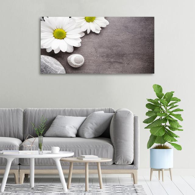 Gerbera - Kunstdrucke auf Segeltuch ModernMoments on Productcaster.