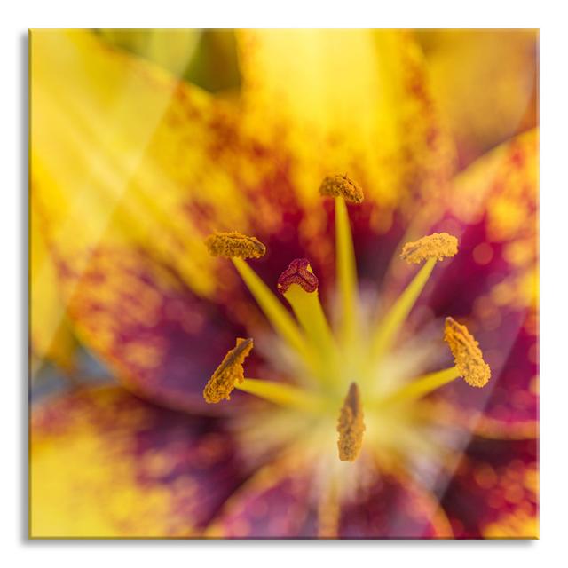 Beautiful Lily Close-up - Unframed Photograph on Glass Brayden Studio Size: 60cm H x 60cm W x 0.4cm D on Productcaster.