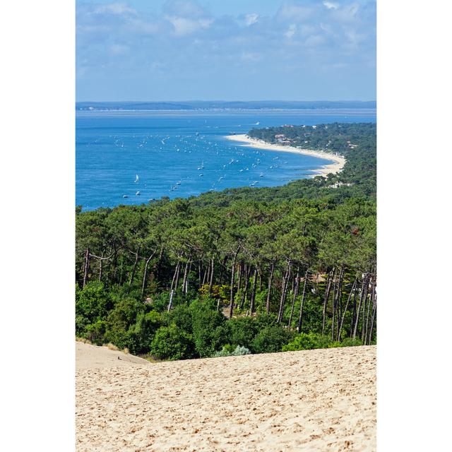 View From Dune by Tree4Two - Wrapped Canvas Print Brambly Cottage Size: 46cm H x 30cm W on Productcaster.