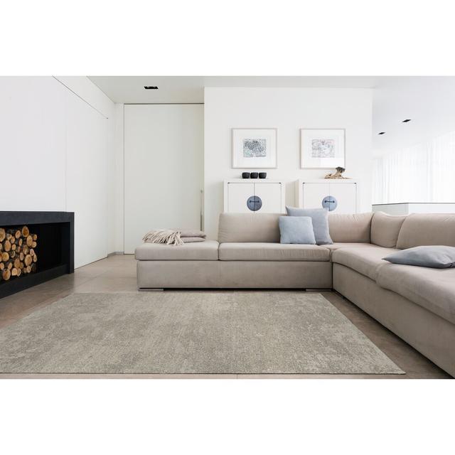 Gardella Hooked Grey Rug Williston Forge Rug Size: Rectangle 200 x 290cm on Productcaster.