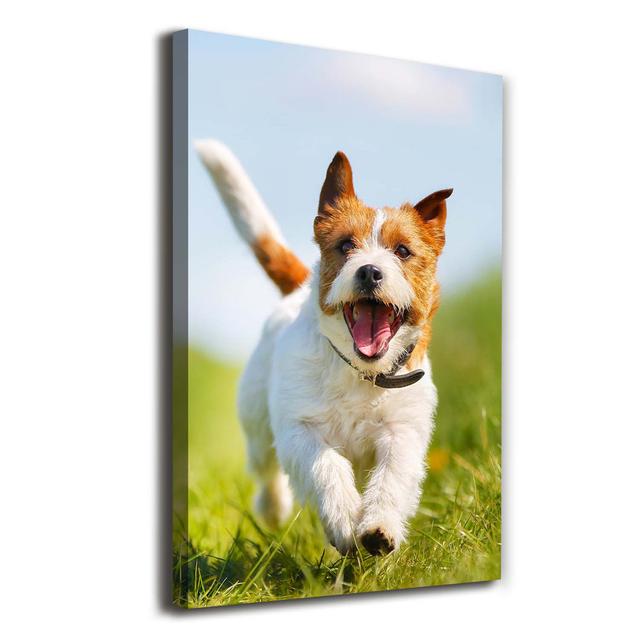 Hund Jack Russell - Kunstdrucke auf Segeltuch Ebern Designs on Productcaster.