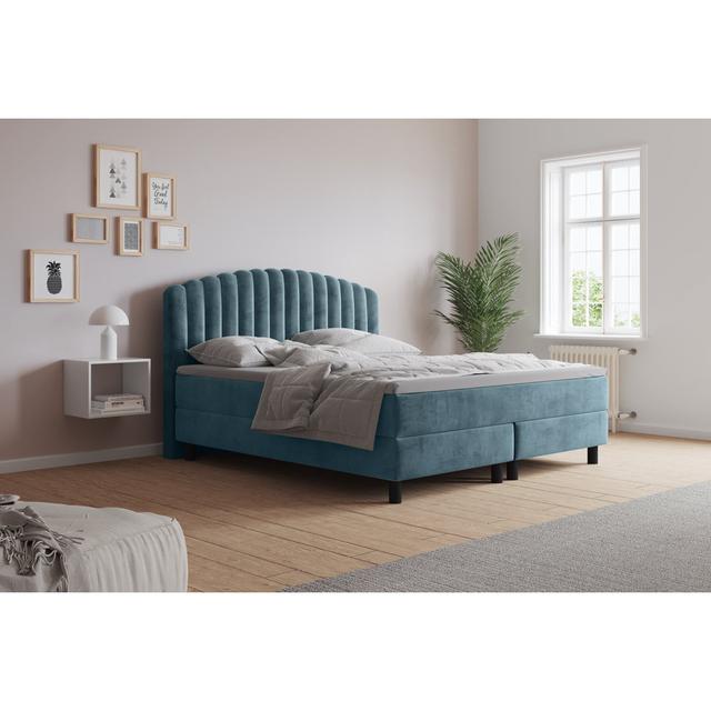 Echtes Boxspringbett Adinath mit Kaltschaum Topper, mit Samtstoff bezogen Canora Grey Matratzenhärte: H2 - bis etwa 75 kg, Farbe: Türkis, Größe: 210 x on Productcaster.