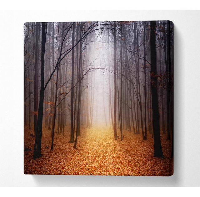 Radegunda Autumn Mist - Wrapped Canvas Art Prints Alpen Home Size: 101.6cm H x 101.6cm W x 10cm D on Productcaster.