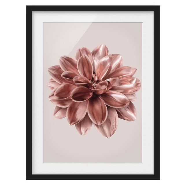 Dahlia Flower Rosegold Metallic - Picture Frame Graphic Art Ebern Designs Frame Option: Black Framed, Size: 100cm H x 70cm W x 2cm D on Productcaster.