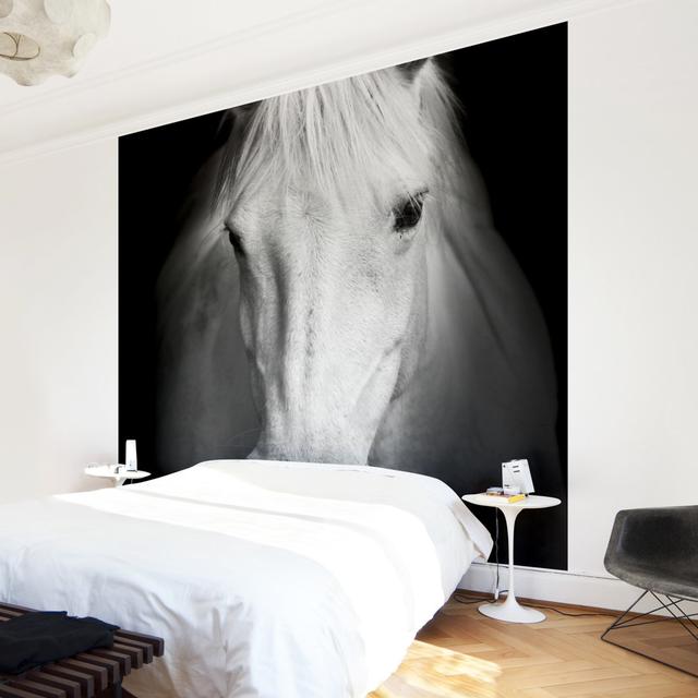 Dream of a Horse Semi-Gloss Wallpaper Roll East Urban Home Materialqualität: Premium (150g/m²), Size: 3.36m x 336cm on Productcaster.