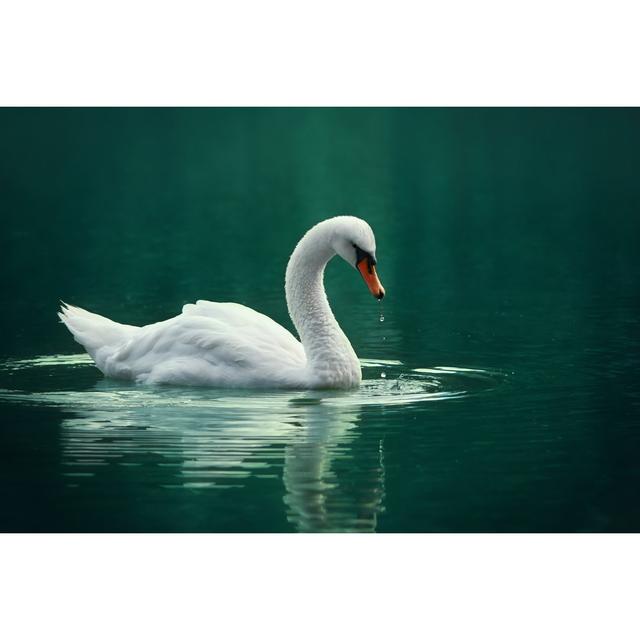 White Swan by Arina_Bogachyova - Wrapped Canvas Print Fairmont Park Size: 51cm H x 76cm W on Productcaster.