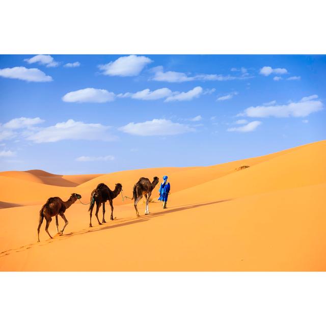 Young Tuareg With Camel by Hadynyah - No Frame Print on Canvas Natur Pur Size: 20cm H x 30cm W on Productcaster.