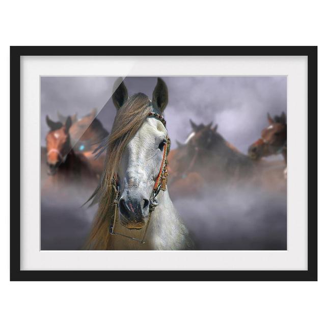 Horses in the Dust Framed Photographic Art Print on Paper East Urban Home Frame Options: Matt black, Size: 70cm H x 100cm W on Productcaster.