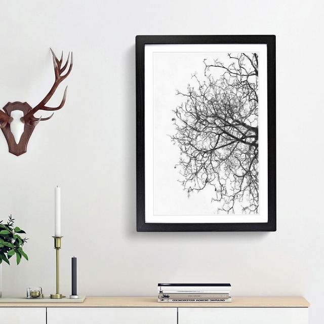 Bare Tree - Picture Frame Graphic Art Print East Urban Home Frame Option: Black Framed, Size: 45cm H x 33cm W x 2cm D on Productcaster.