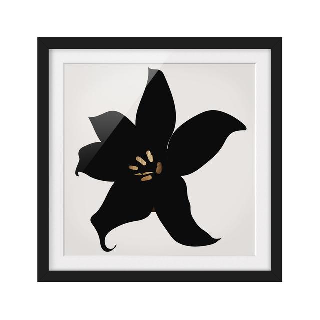 Gerahmtes Poster Plant World - Orchid Black and Gold Rosalind Wheeler Größe: 30 cm H x 30 cm B x 2 cm T, Format: Schwarz, Matte Farbe: Weiß on Productcaster.