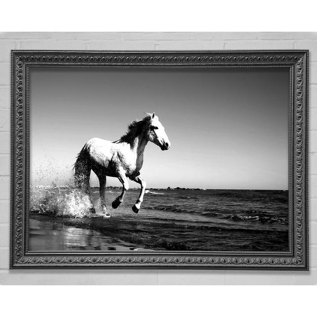 Camargue Gold Horse Framed Print Highland Dunes Size: 100cm H x 141.4cm W on Productcaster.