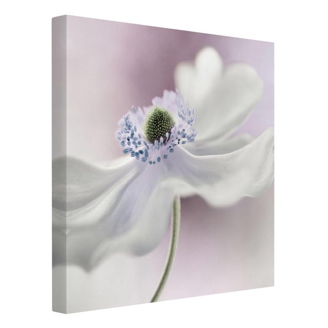 Anemone Breeze Graphic Art Print on Canvas East Urban Home Size: 60cm L x 60cm W on Productcaster.