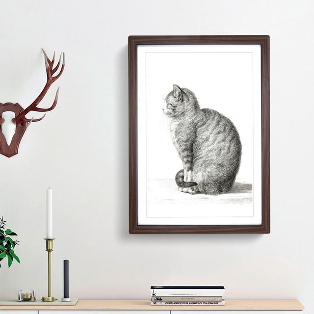 A Sitting Cat by Jean Bernard - Single Picture Frame Print East Urban Home Size: 63cm H x 45cm W x 2cm D, Format: Walnut Bordered Framed on Productcaster.