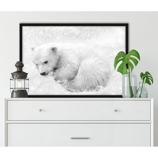 Gerahmtes Foto "Zen Polar Bear in the Snow" Alpen Home Größe: 80 cm H x 60 cm B x 2.5 cm T on Productcaster.