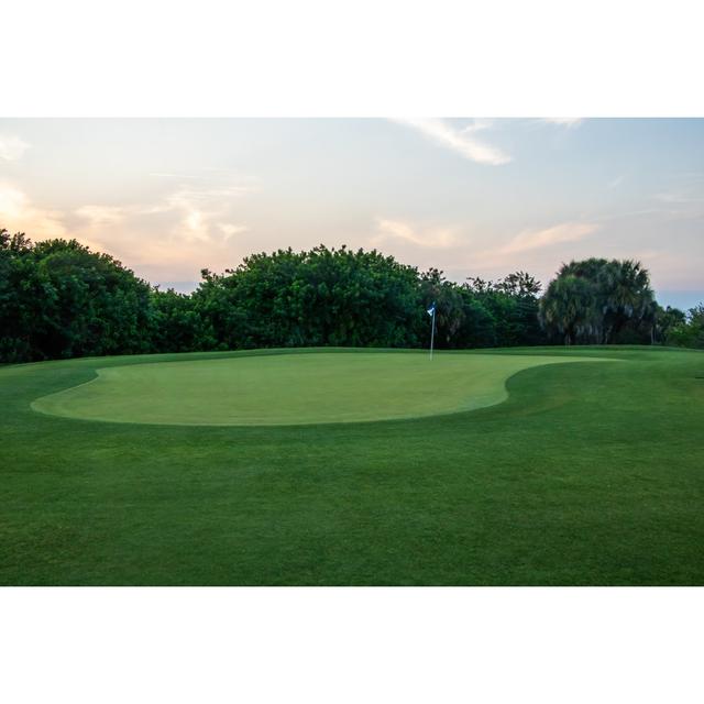 Golf Course Green by JosephJacobs - Wrapped Canvas Print 17 Stories Size: 61cm H x 91cm W on Productcaster.