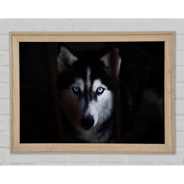 Husky Dog Wolf Face - Print 17 Stories Size: 84.1cm H x 118.9cm W x 1.5cm D on Productcaster.