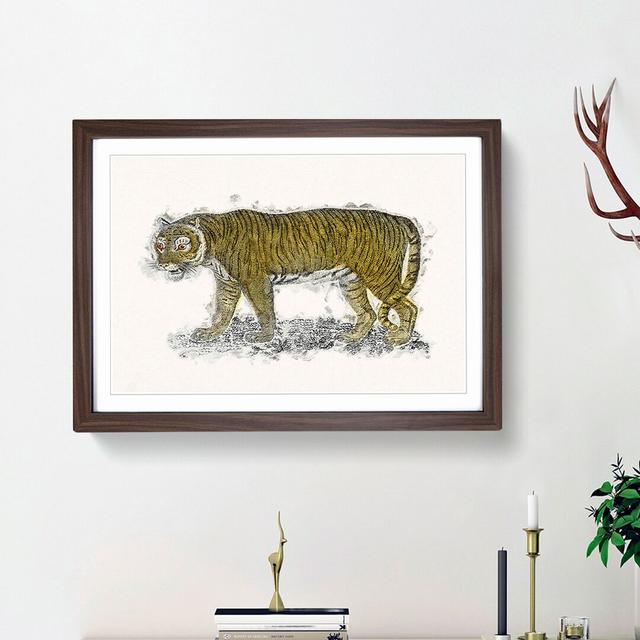 Vintage Tiger Illustration - Picture Frame Painting Print East Urban Home Frame Option: Walnut Framed, Size: 27cm H x 36cm W x 2cm D on Productcaster.