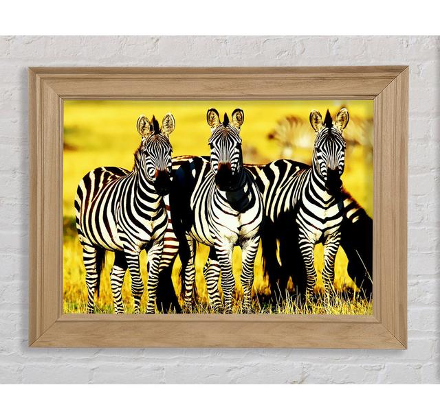 Single Picture Frame Art Prints Bright Star Size: 21cm H x 42cm W on Productcaster.