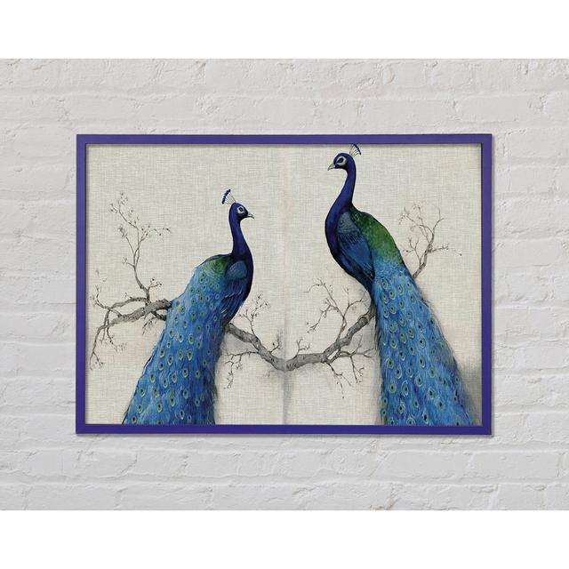 The Peacock Duo - Single Picture Frame Art Prints Latitude Vive Size: 42cm H x 59.7cm W x 2cm D on Productcaster.