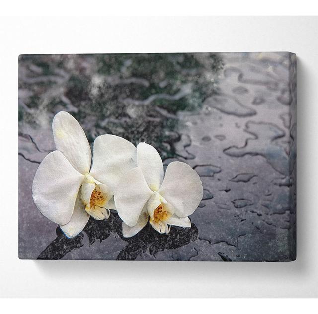 Orchid Heads In Water Canvas Watercolour ClassicLiving Size: 81cm H x 121.9cm W x 10cm D on Productcaster.