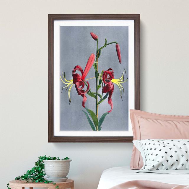 Pink Lilies by Kazumasa Ogawa - Picture Frame Graphic Art Print East Urban Home Size: 65cm H x 48cm W x 2cm D, Frame Option: Walnut Framed on Productcaster.