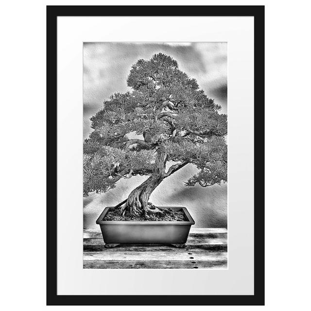 Gerahmtes Poster Bonsai Baum East Urban Home Größe: 55 cm H x 40 cm B on Productcaster.