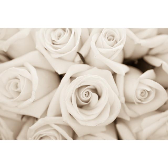 Darbyville Roses For Valentine's Day - Wrapped Canvas Photograph Fairmont Park Size: 30cm H x 46cm W x 3.8cm D on Productcaster.