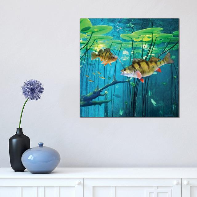 Under the Lily Pads - Wrapped Canvas Graphic Art House of Hampton Size: 45.72cm H x 45.72cm W x 1.91cm D on Productcaster.