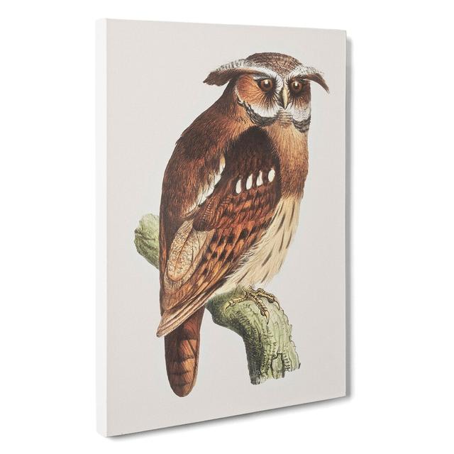 Owl On A Branch by - Wrapped Canvas Painting East Urban Home Size: 76cm H x 50cm W x 3cm D on Productcaster.