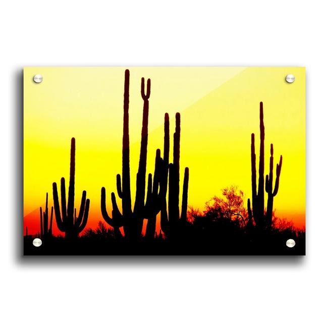 Desert Cactus Sunrise - Unframed Photograph Print on Paper East Urban Home Size: 59.4cm H x 84.1cm W on Productcaster.