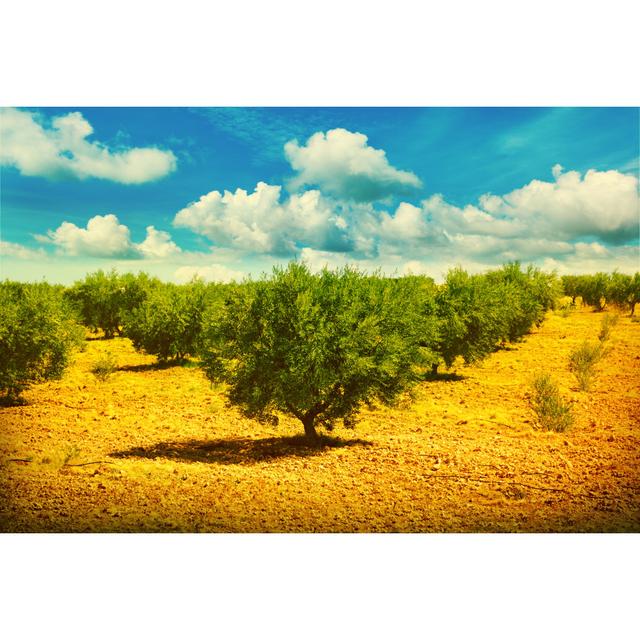 Landscape by Adisa - Wrapped Canvas Photograph Latitude Run Size: 81cm H x 122cm W on Productcaster.