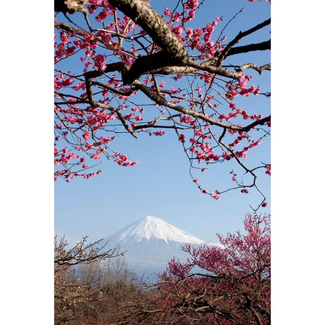 Pink Blossom Trees by Rssfhs - Wrapped Canvas Photograph 17 Stories Size: 91cm H x 61cm W on Productcaster.