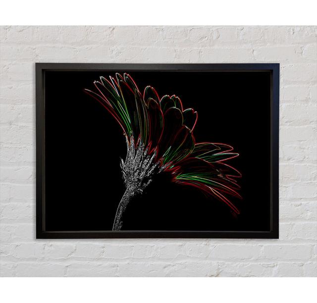 Abstract Neon Floral Delight - Single Picture Frame Art Prints on Canvas Ebern Designs Size: 84.1cm H x 118.9cm W x 3.3cm D on Productcaster.