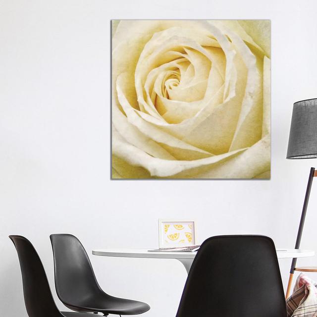 Wall Flower III by Alonzo Saunders - Wrapped Canvas Print Fairmont Park Size: 93.98cm H x 93.98cm W x 1.905cm D on Productcaster.