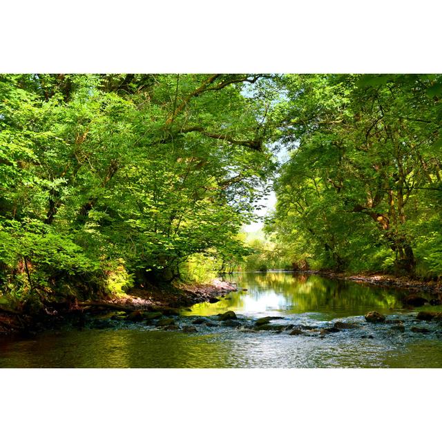 Cree Wood And River by Cloud77 - Wrapped Canvas Print Union Rustic Size: 30cm H x 46cm W x 3.8cm D on Productcaster.