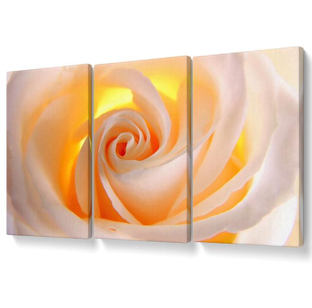 Soft Cream Yellow Rose - 3 Piece Wrapped Canvas Graphic Art Canora Grey Size: 50.8cm H x 106.6cm W on Productcaster.