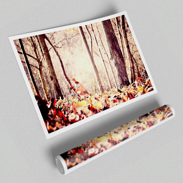 Leaves on the Autumn Ground - Photograph Print on Paper East Urban Home Size: 100 cm H x 141.4 cm W on Productcaster.