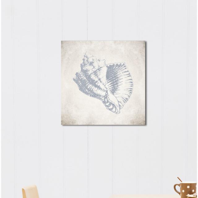 'Sea Shell Grey' Framed Graphic Art Print on Canvas East Urban Home Size: 30.5cm H x 30.5cm W on Productcaster.