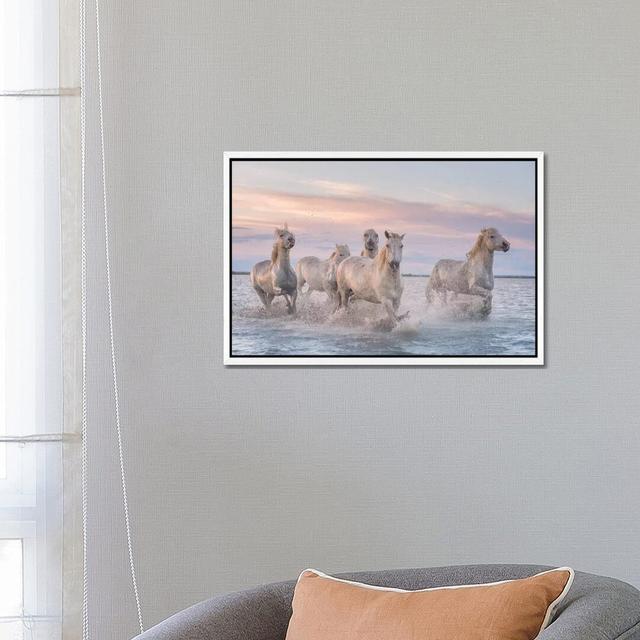 White Angels Of Camargue XXXI by Daniel Kordan - Print on Canvas Latitude Run Format: White Framed, Size: 45.72cm H x 66.04cm W x 3.81cm D on Productcaster.