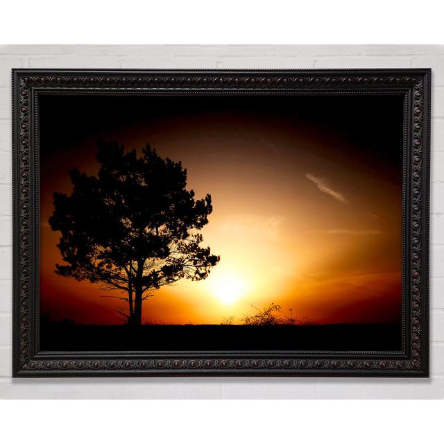 Sunrise Tree - Print Bright Star Size: 21cm H x 29.7cm W on Productcaster.