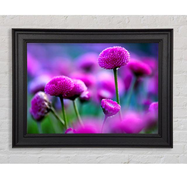 Remember Love Framed Print Ebern Designs Size: 21cm H x 42cm W on Productcaster.