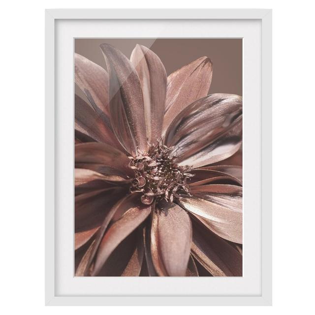 Copper Golden Dahlia Dream - Picture Frame Graphic Art Ebern Designs Frame Option: White Framed, Size: 100cm H x 70cm W x 2cm D on Productcaster.