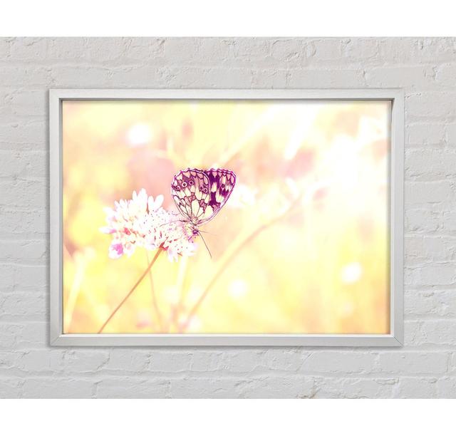 Butterfly Haze Framed Print Ebern Designs Size: 84.1cm H x 118.9cm W on Productcaster.