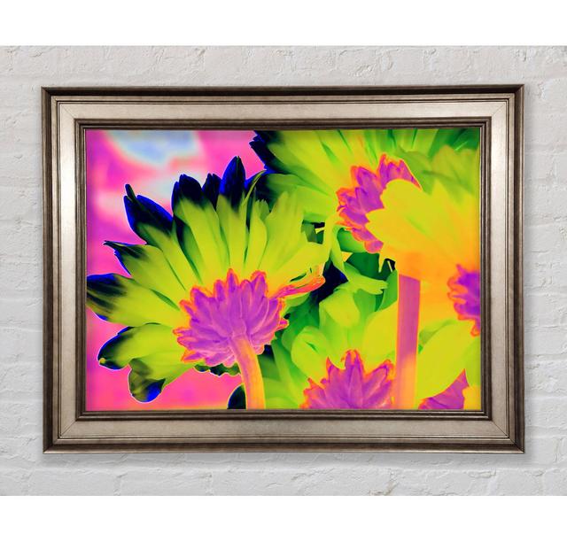 Psychedelic Petals Framed Print Bright Star Size: 29.7cm H x 42cm W on Productcaster.