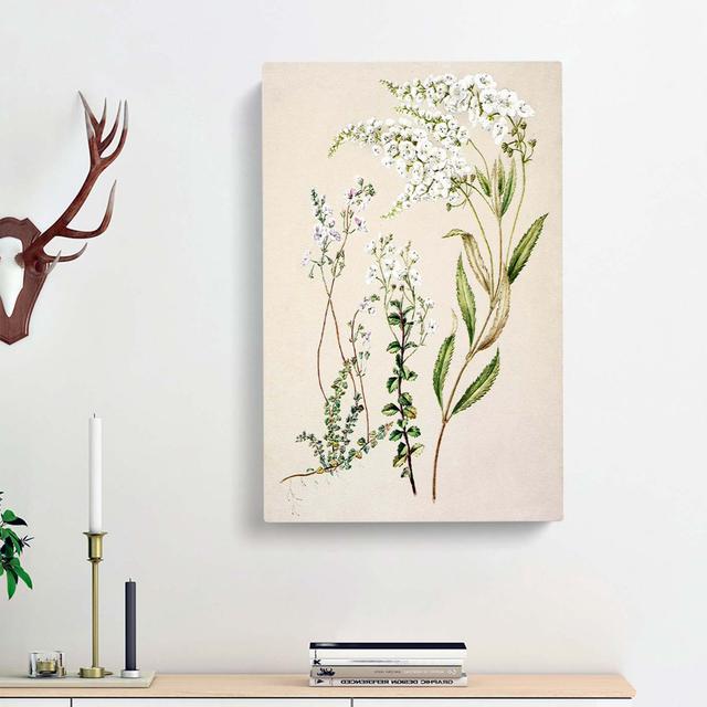 Veronica Flowers by Sarah Featon - Wrapped Canvas Painting Print East Urban Home Size: 60cm H x 40cm W x 3cm D on Productcaster.