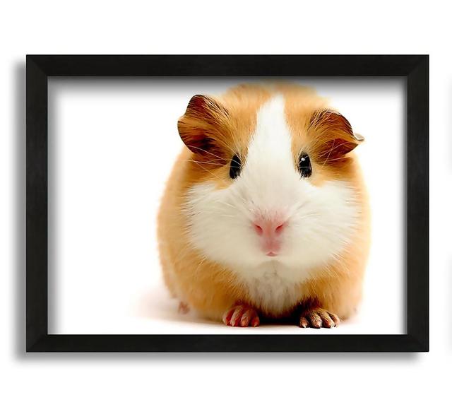 Cute Guinea Pig - Picture Frame Graphic Art on Canvas Brambly Cottage Size: 30cm H x 42cm W x 10cm D on Productcaster.