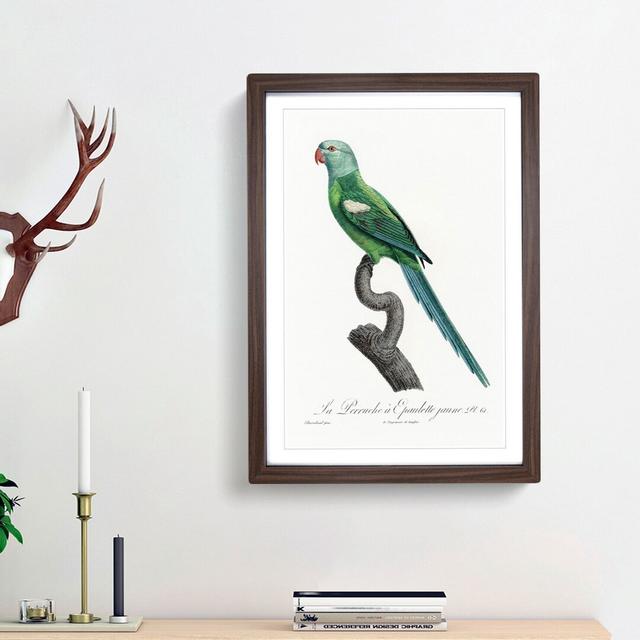 Yellow-Shouldered Amazon Macaw Parrot by F. Levaillant - Picture Frame Graphic Art Print East Urban Home Size: 36cm H x 27cm W x 2cm D, Frame Option: on Productcaster.