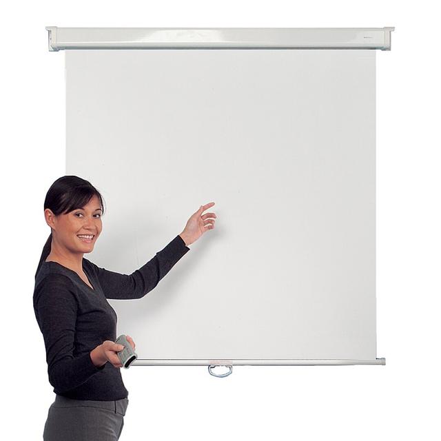 White Manual Projection Screen Symple Stuff Size: 125 cm H x 125 cm W on Productcaster.