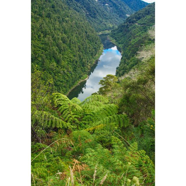 Whanganui River - Wrapped Canvas Photograph Alpen Home Size: 76cm H x 51cm W on Productcaster.