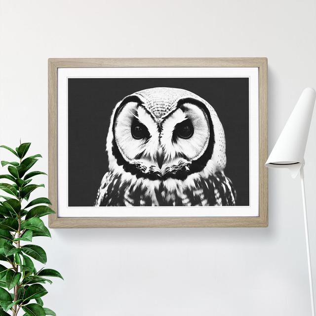 XH1022-6549X Owl Portrait Monochrome Vol.1 - Single Picture Frame Print Alpen Home Frame Colour: Grey, Size: 25cm H x 34cm W on Productcaster.